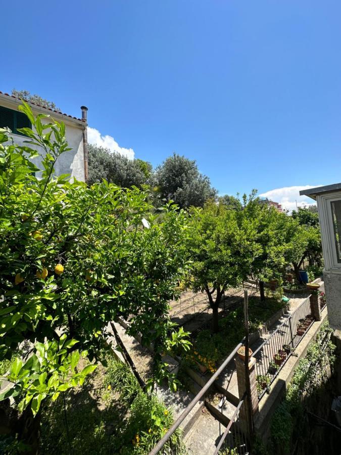 Casa Vittoria Leilighet Vietri Eksteriør bilde